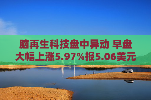 脑再生科技盘中异动 早盘大幅上涨5.97%报5.06美元
