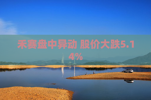 禾赛盘中异动 股价大跌5.14%