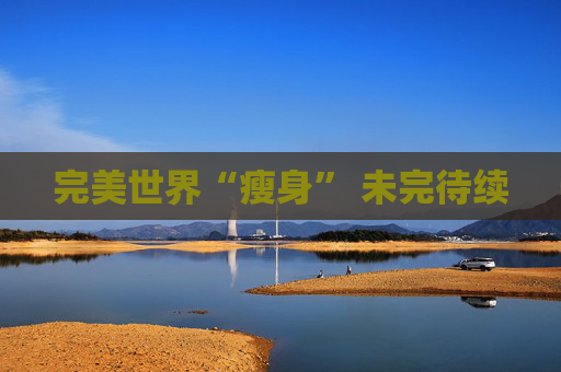 完美世界“瘦身” 未完待续