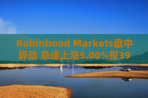 Robinhood Markets盘中异动 急速上涨5.00%报39.38美元