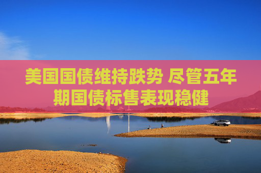 4480yy在线A片无码 美国国债维持跌势 尽管五年期国债标售表现稳健  第1张