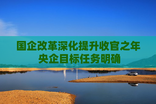 4480午夜理论免费无码 国企改革深化提升收官之年 央企目标任务明确  第1张