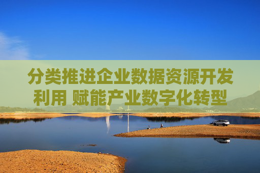 分类推进企业数据资源开发利用 赋能产业数字化转型