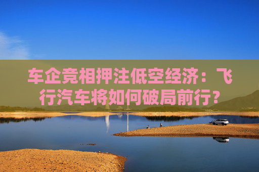 车企竞相押注低空经济：飞行汽车将如何破局前行？