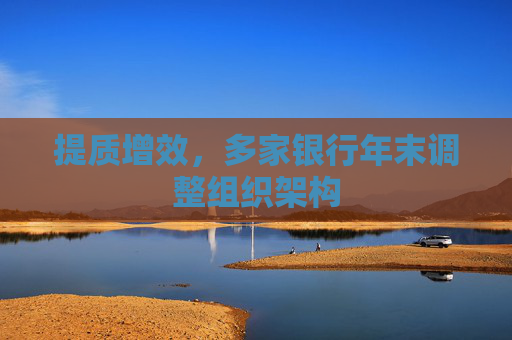 提质增效，多家银行年末调整组织架构