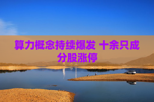 算力概念持续爆发 十余只成分股涨停