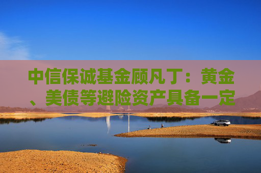中信保诚基金顾凡丁：黄金、美债等避险资产具备一定安全边际，大宗商品则或具备看涨期权价值  第1张