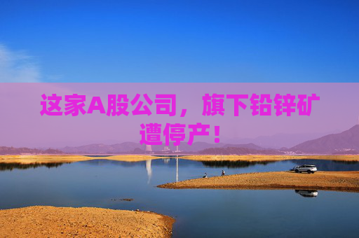 这家A股公司，旗下铅锌矿遭停产！
