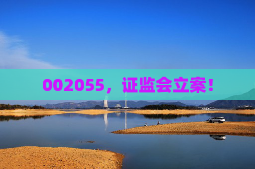 002055，证监会立案！