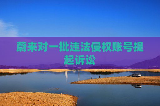 蔚来对一批违法侵权账号提起诉讼