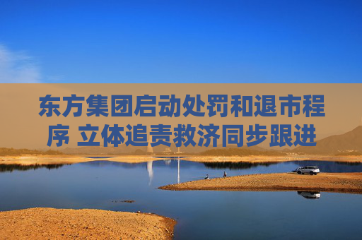 东方集团启动处罚和退市程序 立体追责救济同步跟进