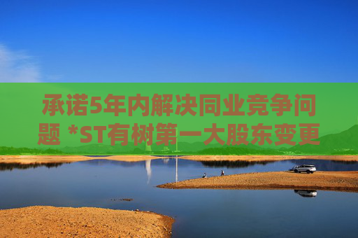 承诺5年内解决同业竞争问题 *ST有树第一大股东变更为王维
