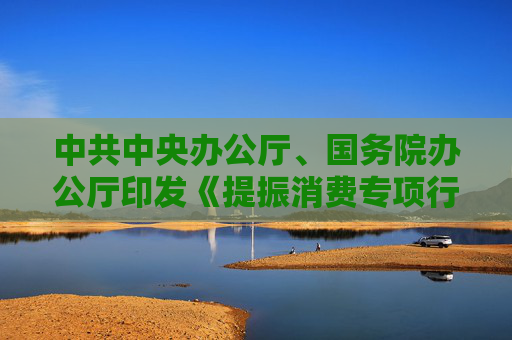 中共中央办公厅、国务院办公厅印发《提振消费专项行动方案》多措并举稳股市 以居民财产性收入增加助力促消费