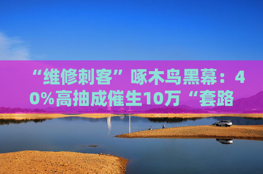 “维修刺客”啄木鸟黑幕：40%高抽成催生10万“套路工程师” IPO之路会否崩盘？