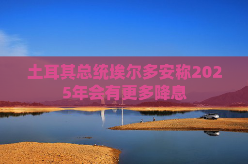 4480午夜理论免费无码 土耳其总统埃尔多安称2025年会有更多降息  第1张