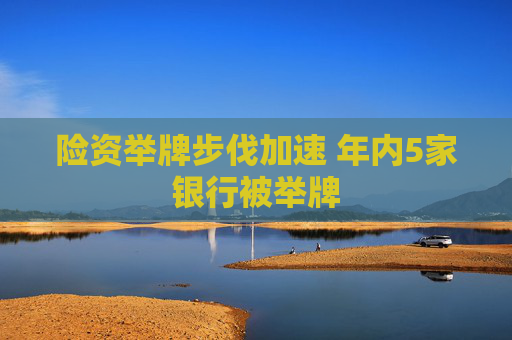 险资举牌步伐加速 年内5家银行被举牌