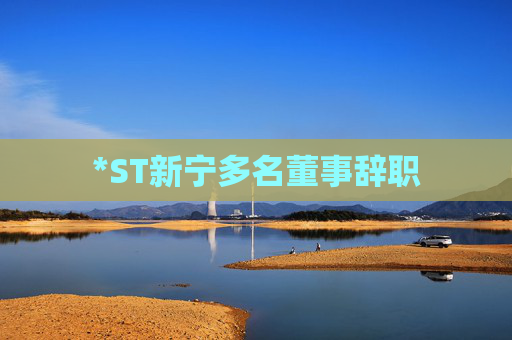 *ST新宁多名董事辞职