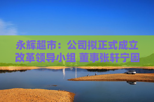 永辉超市：公司拟正式成立改革领导小组 董事张轩宁因CEO安排表示反对