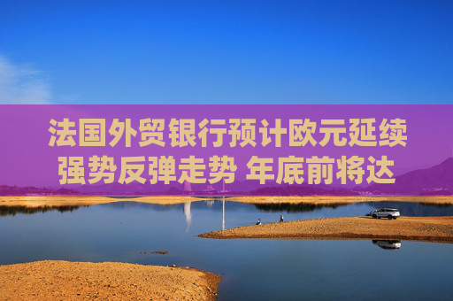 法国外贸银行预计欧元延续强势反弹走势 年底前将达到1.12美元