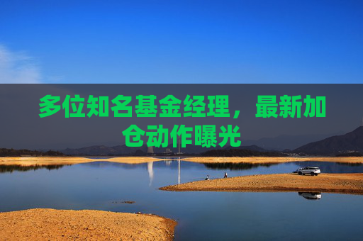 多位知名基金经理，最新加仓动作曝光