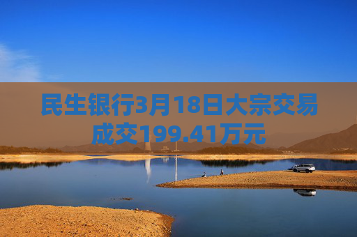 民生银行3月18日大宗交易成交199.41万元