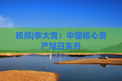 视频|李大霄：中国核心资产旭日东升