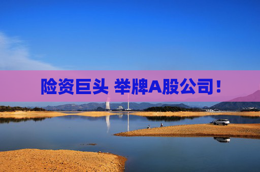 险资巨头 举牌A股公司！