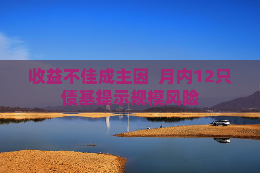 收益不佳成主因  月内12只债基提示规模风险