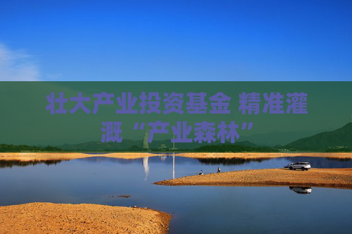 壮大产业投资基金 精准灌溉“产业森林”
