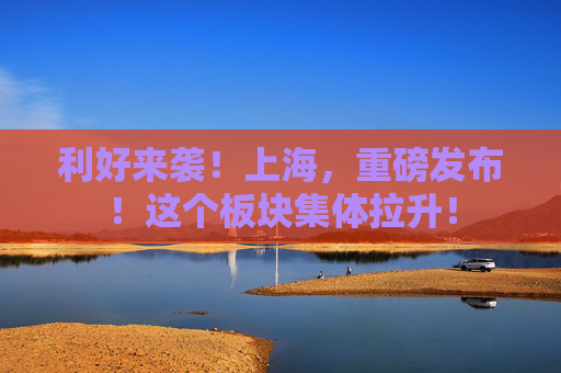 利好来袭！上海，重磅发布！这个板块集体拉升！