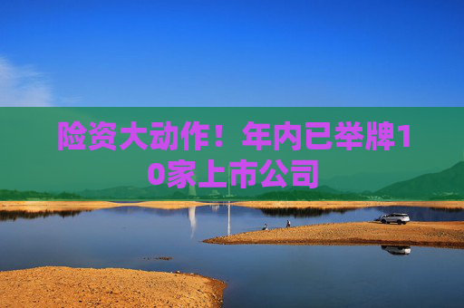 险资大动作！年内已举牌10家上市公司