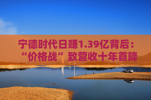 宁德时代日赚1.39亿背后：“价格战”致营收十年首降，储能出海拉高利润水平