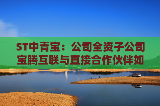 ST中青宝：公司全资子公司宝腾互联与直接合作伙伴如中国电信、中国联通、中国移动等建立重要的合作关系