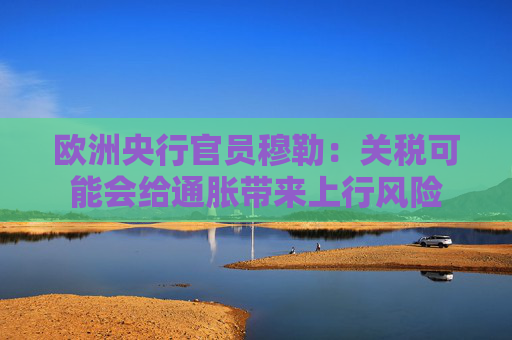 4500网约外围模特女神 欧洲央行官员穆勒：关税可能会给通胀带来上行风险  第1张