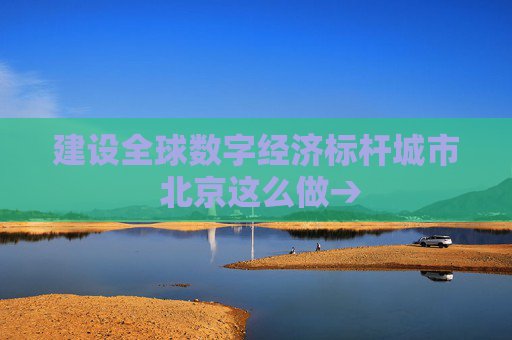 建设全球数字经济标杆城市 北京这么做→