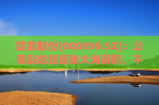 赣能股份(000899.SZ)：公司副总经理张大海辞职，不再担任公司任何职务