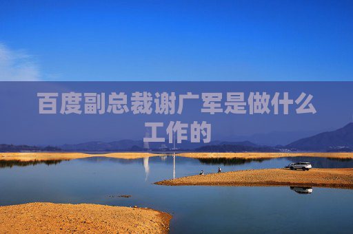 百度副总裁谢广军是做什么工作的