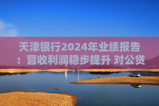 天津银行2024年业绩报告：营收利润稳步提升 对公贷款同比增长21.8％
