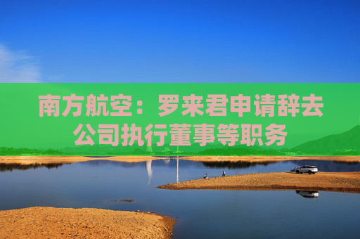 南方航空：罗来君申请辞去公司执行董事等职务