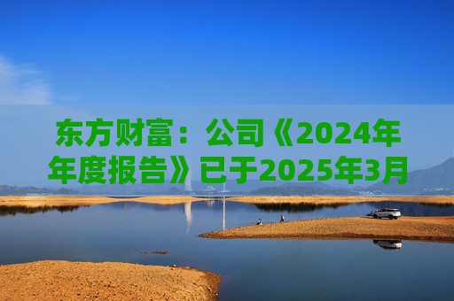 东方财富：公司《2024年年度报告》已于2025年3月15日披露