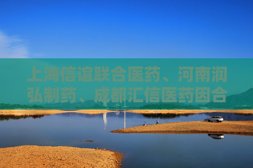上海信谊联合医药、河南润弘制药、成都汇信医药因合谋将一款医保甲类麻醉注射液价格推高21倍，被罚2.2亿