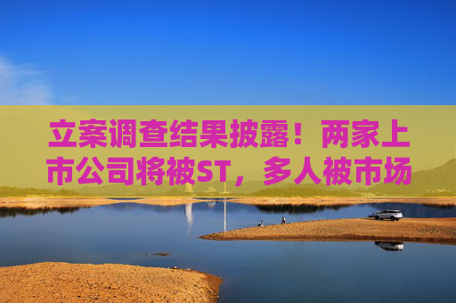 4480午夜理论免费无码 立案调查结果披露！两家上市公司将被ST，多人被市场禁入！  第1张