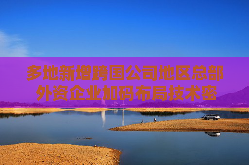 4480yy在线A片无码 多地新增跨国公司地区总部 外资企业加码布局技术密集产业  第1张