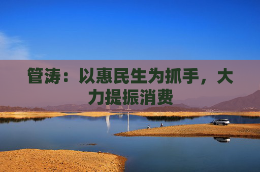 管涛：以惠民生为抓手，大力提振消费