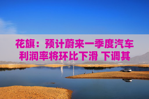 花旗：预计蔚来一季度汽车利润率将环比下滑 下调其美股和港股目标价