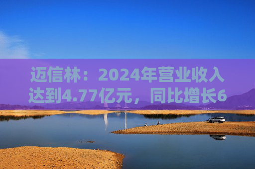 迈信林：2024年营业收入达到4.77亿元，同比增长62.38%