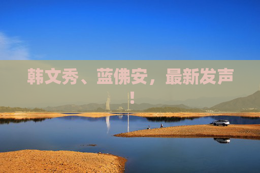 韩文秀、蓝佛安，最新发声！