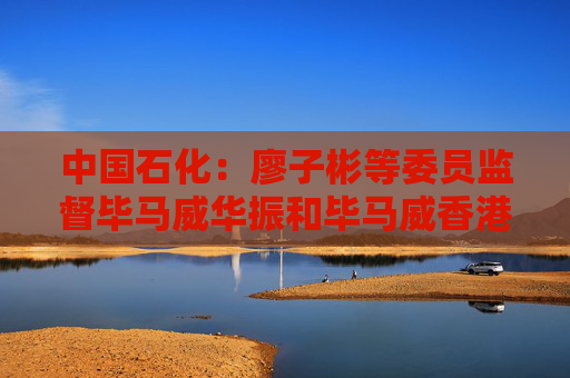 中国石化：廖子彬等委员监督毕马威华振和毕马威香港2024年度履职情况
