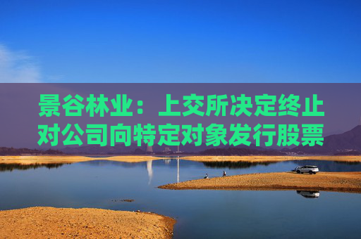 景谷林业：上交所决定终止对公司向特定对象发行股票的审核