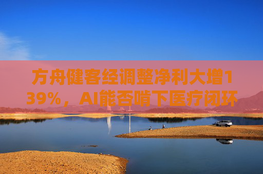 方舟健客经调整净利大增139%，AI能否啃下医疗闭环“硬骨头”？